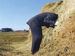 speld in hooiberg 1.jpg